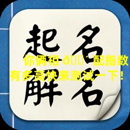 你俩相 🐴 配指数有多高快来测试一下！